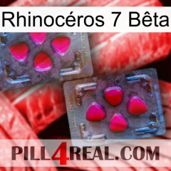 Rhinocéros 7 Bêta 15